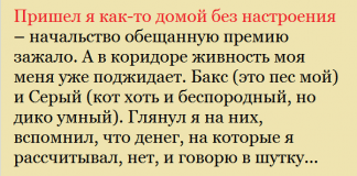 Когда кот решил прокормить всю нашу семью: меня, себя и пса Бакса Спасибо. От души насмеялась!