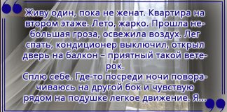 Лег спать в гордом одиночестве! А проснулся…