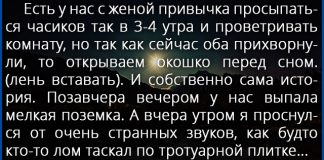 Однако, соседи великолепные