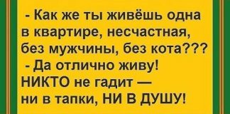 15 теплых иллюстраций, повествующих о жизни в одиночку!