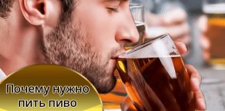 «Губит людей не пиво», или почему пиво является полезным напитком