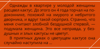 Это незначительное событие повлекло за собой череду потрясающих совпадений