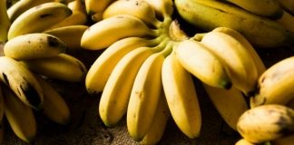 Британец купил бананы и обнаружил в них живой сюрприз