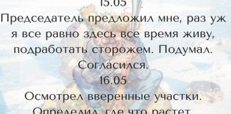 Дневник сторожа садоводческого товарищества Утес