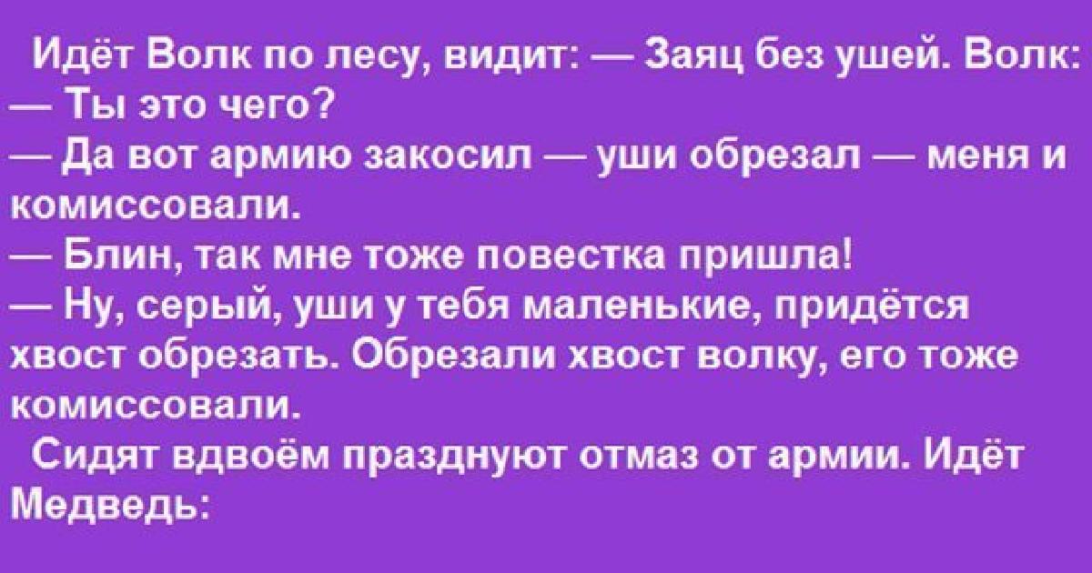 Самый лучший анекдот про волка, зайца и медведя - appetitres.ru