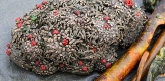 Ученые разрезали этот камень пополам. Когда оттуда полилась кровь, они сделали невероятное открытие!