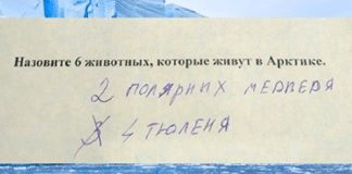 Бесподобные ответы школьников, с которыми не поспоришь