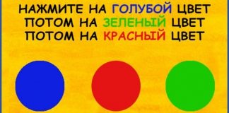 Невероятно! Лишь 5% людей получили высший балл за этот базовый тест