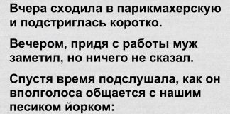 Очередная подборка из 15 самых интересных историй от пользователей интернета!