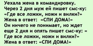 Жена отправилась в командировку. Только она за порог, как муж начал писать ей письма с вопросами