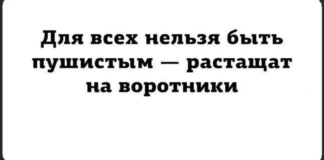 — Ой, ну и собаку купили Иди сюда, горемыка, пожалею! (20 ФОТО)