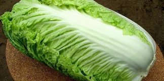 ТОП-6 Салатов с Пекинской Капустой!
