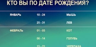 Новейший гороскоп! Узнайте, какое вы животное!