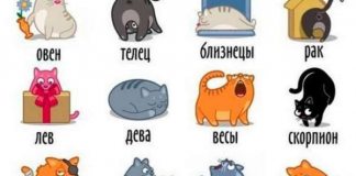 Смешно, но прямо в точку! Шикарные стихи про все знаки Зодиака