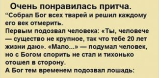 Эта красивая притча рассказывает людям о том, как все должно быть