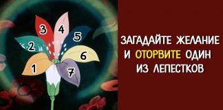 Просто оторвите лепесток нужного цвета и Цветик-семицветик расскажет все-все о вашем будущем!