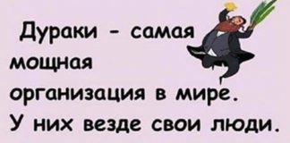Для отличного настроения! Новенькая подборка историй из жизни
