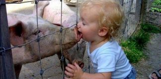 А ведь мама всего на секунду отвернулась! 30 шикарных фото
