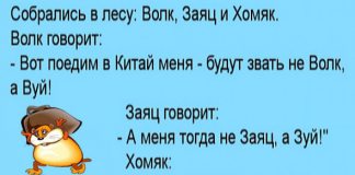 Собрались в лесу волк, заяц и хомяк - ведут беседу