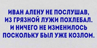 Уморительные стишки о жизни. Все как есть!