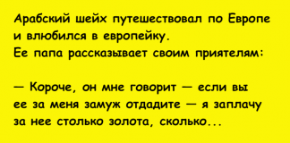 Самые смешные анекдоты – специальная подборка