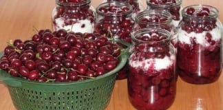 Топ-10 рецептов по консервации из вишни