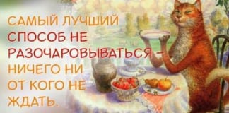 13 бесценных советов на все случаи жизни