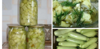 Вкусные кабачки – закуска получается пикантной и оригинальной, словно грибы