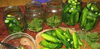 «Детские» маринованные огурчики, т.к. без уксуса! Закрываю каждый год тоннами