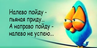 Убойные шутки для хорошего настроения! Это нечто!