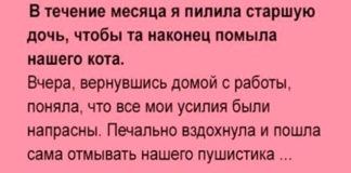 Помыли кота