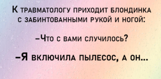 Анекдоты от кота феликса. 7-я серия.