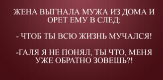 Подборка замечательно юмора, которая обязательно сделает Ваш день!