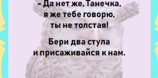 15 анекдотов без комментариев