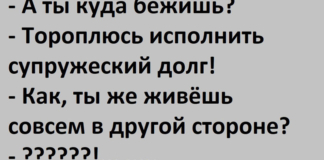 10 бодрых анекдотов: "Альтернативный" юмор, часть 28.
