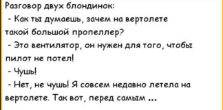 Анекдоты от кота Феликса...107...серия