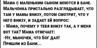 Приколы и анекдоты, которые поднимут вам настроение #4