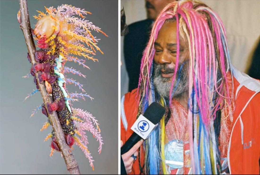 Источник Яндекс картинки. 