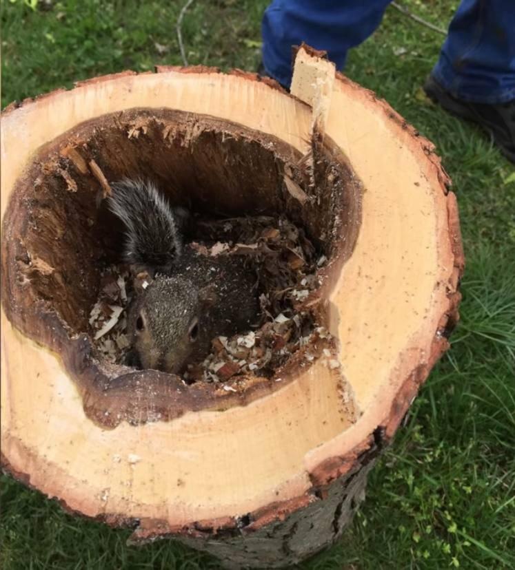 Источник Яндекс картинки.