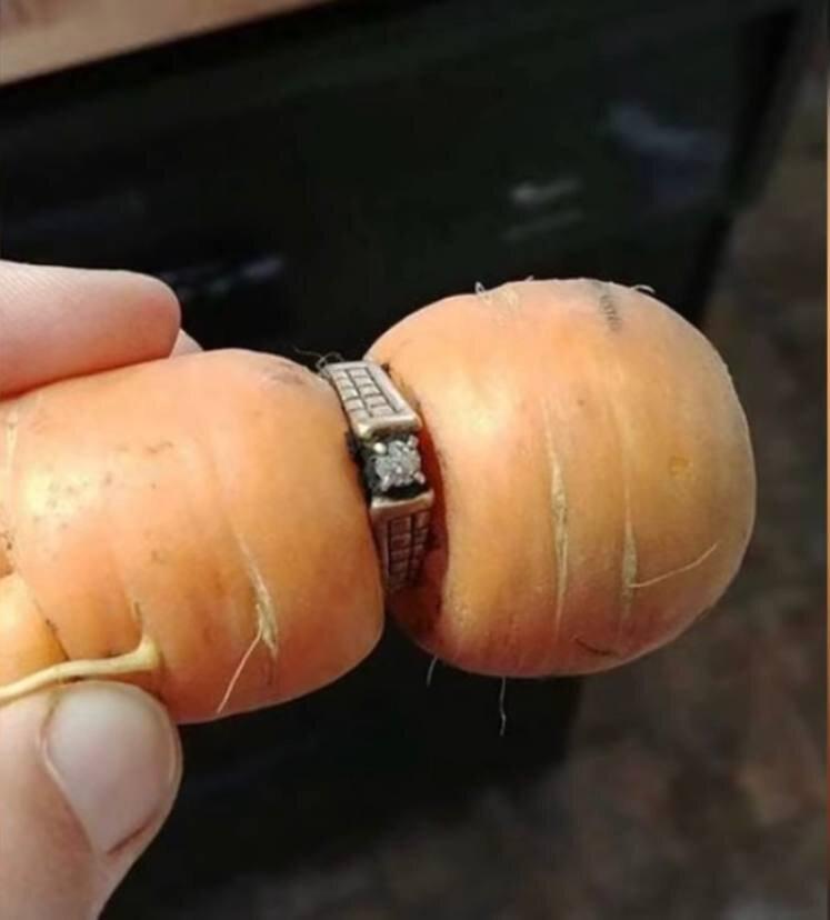 Источник Яндекс картинки.