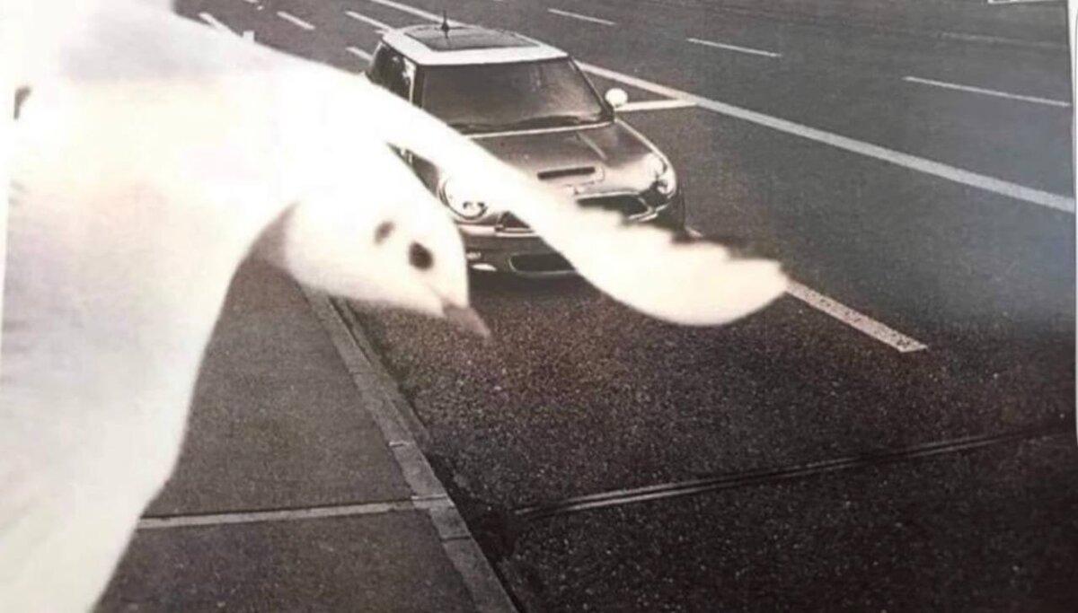 Источник Яндекс картинки.