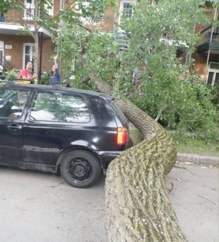 Источник Яндекс картинки.