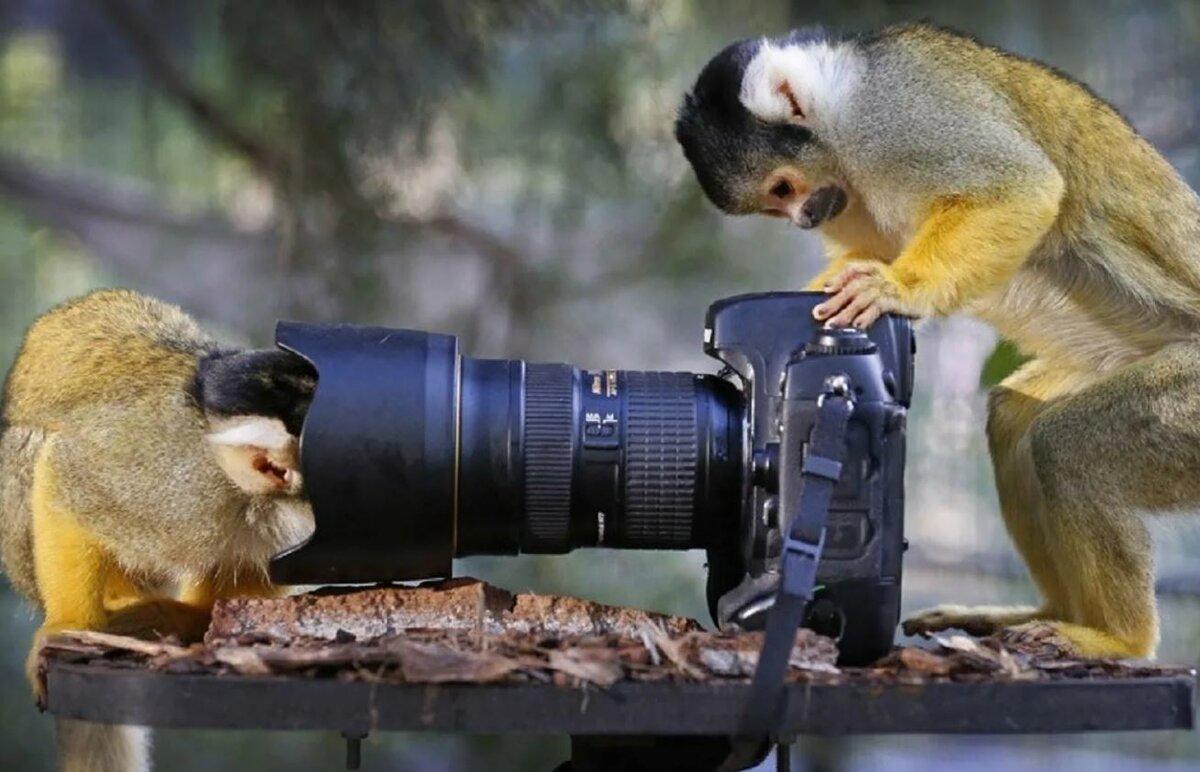 Когда не читаешь инструкции 