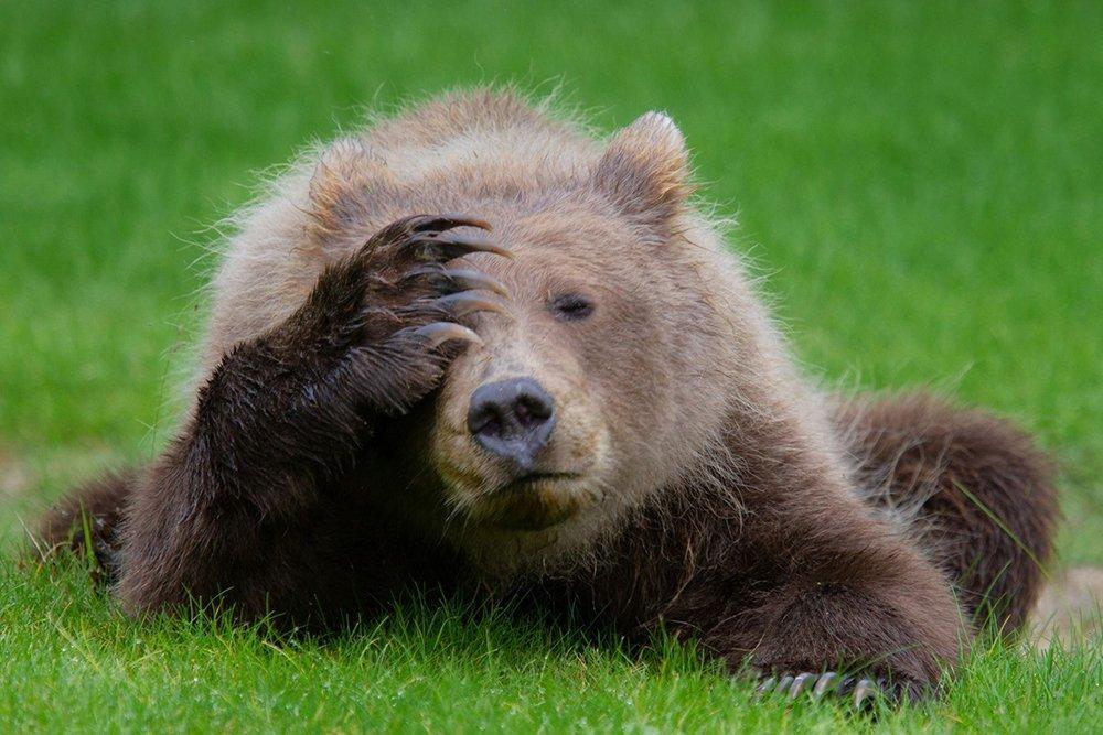 Суббота, утро