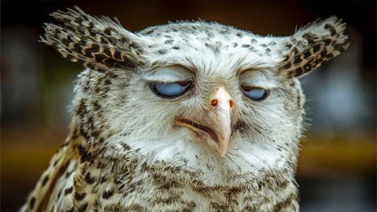 ой, да лаадно