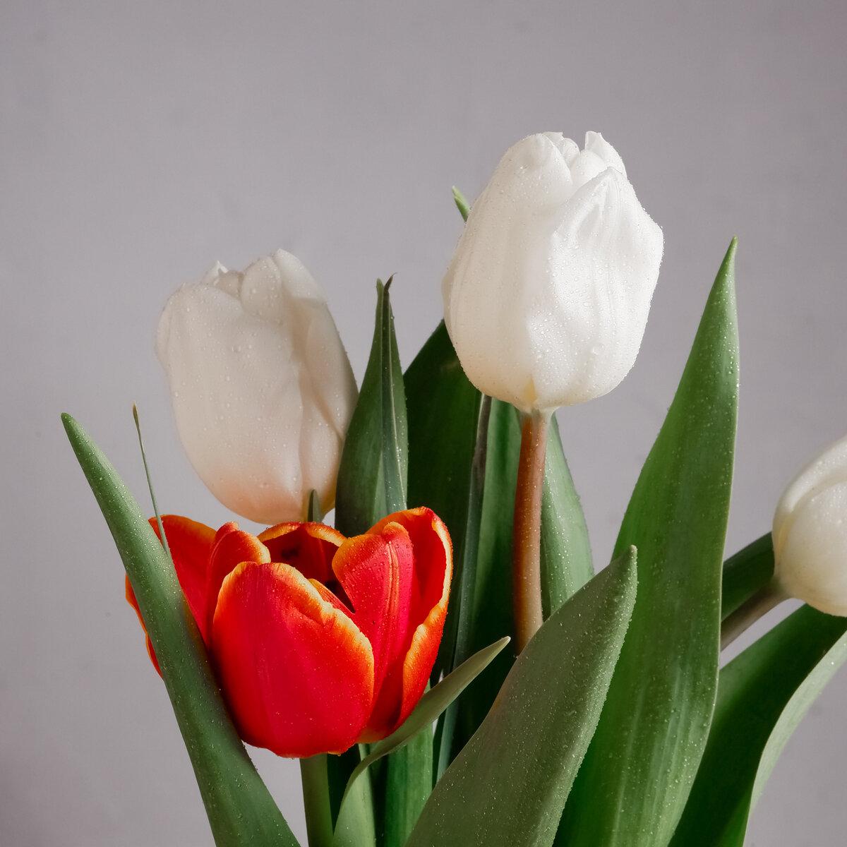 Сначала я не поняла, что на этом снимке.-6