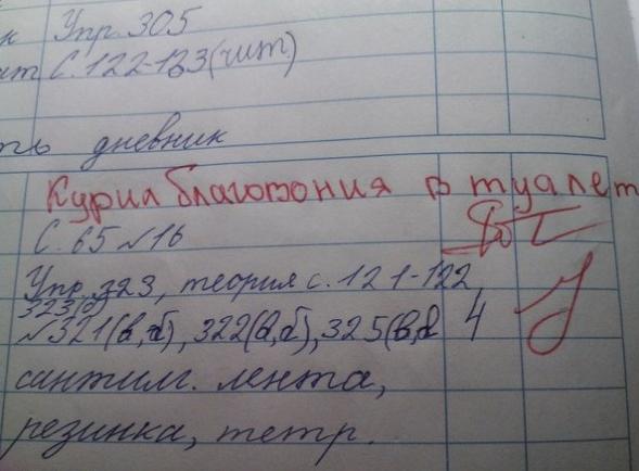 Школьники не всегда следуют правилам и часто дают удивительные ответы на задания. Учителя и ученики  охотно выкладывают в интернет свои "перлы".-4