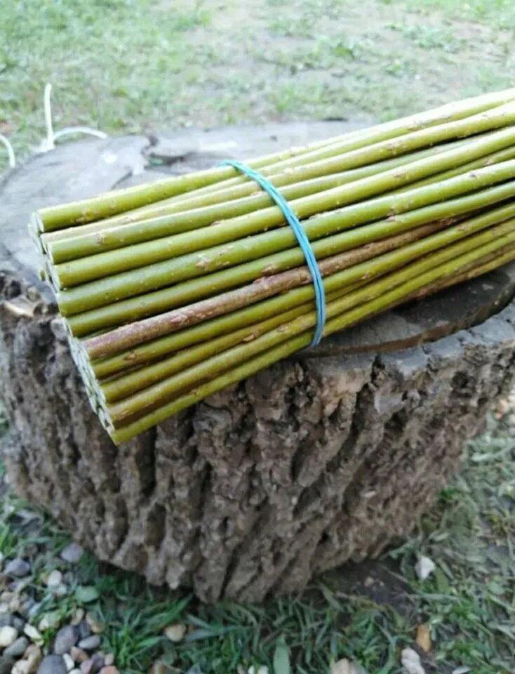 Сначала анекдот в тему: Забрался в дом к одинокой богатой женщине воришка. Начал искать золото и меха. Тут как назло, после вечеринки с подругами вернулась "очень хорошая" хозяйка.