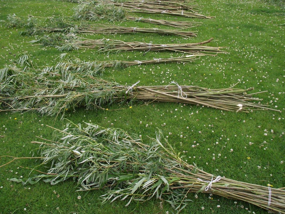 Сначала анекдот в тему: Забрался в дом к одинокой богатой женщине воришка. Начал искать золото и меха. Тут как назло, после вечеринки с подругами вернулась "очень хорошая" хозяйка.-3