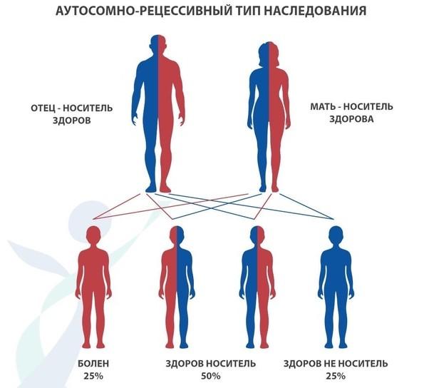 Меня зовут Дарья, моего мужа – Евгений.  Нам по 28 лет, и мы мутанты. Мы никогда не узнали бы об этом, если бы не встретились и не потеряли своего ребенка.  Но обо всем по порядку.-3
